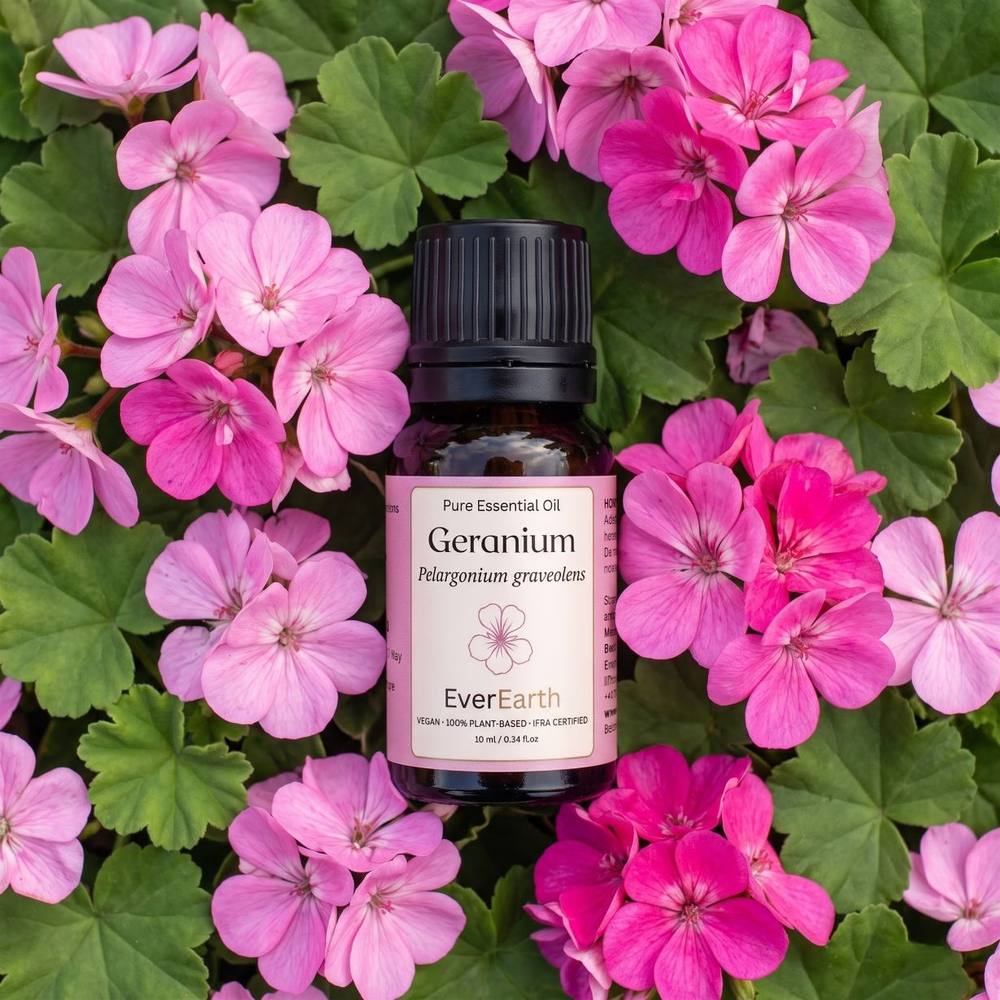 EverEarth Geranium essential oil bottle surrounded by fresh pink geranium flowers and green leaves