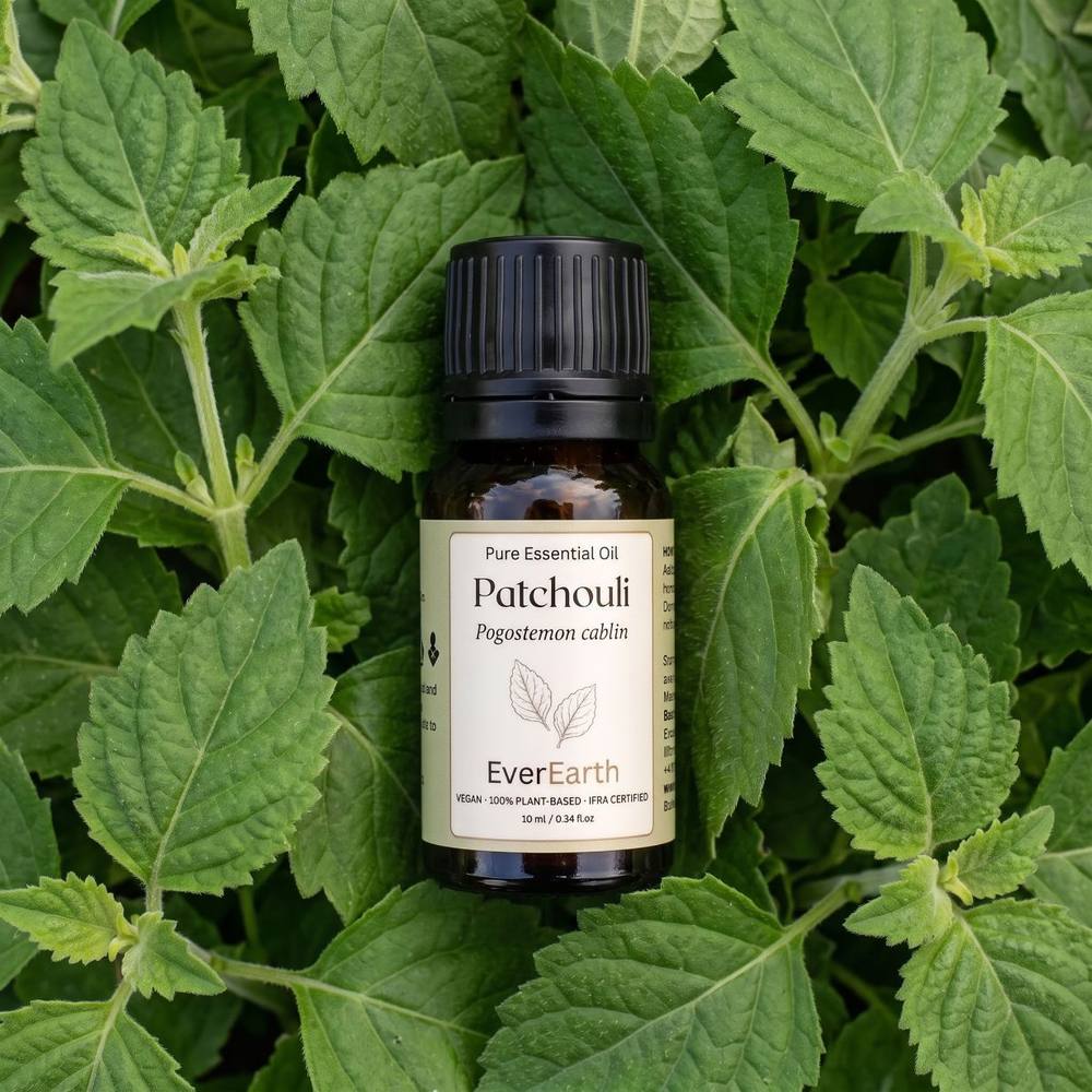 EverEarth Patchouli essential oil bottle resting on fresh green patchouli leaves