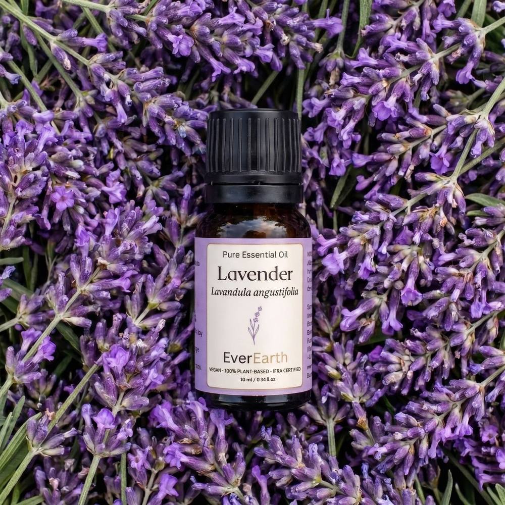 EverEarth Lavender essential oil 10ml bottle resting on fresh lavender flowers