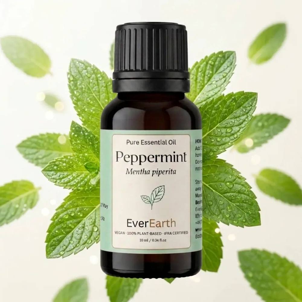 Peppermint botanical ingredient, source plant for EverEarth Peppermint essential oil