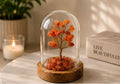 House of Rivit Carnelian Crystal Gem Tree in Glass Dome