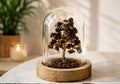 House of Rivit Tiger Eye Crystal Gem Tree in Glass Dome
